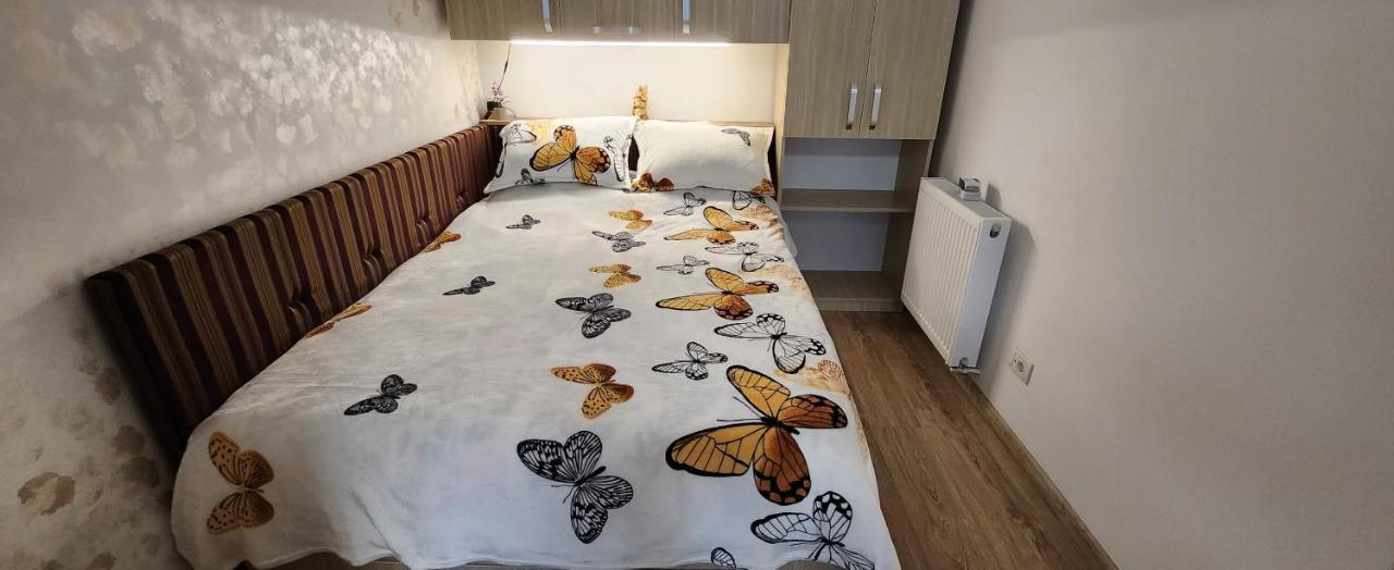 Butterfly Apartment Timişoara Exterior foto