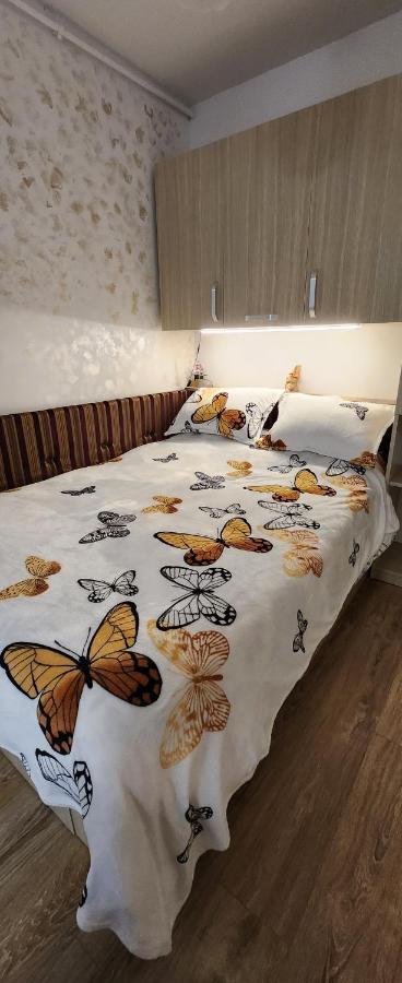 Butterfly Apartment Timişoara Exterior foto